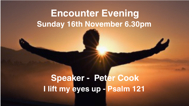 Website Encounter 161125 (800 